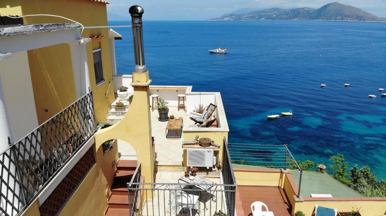 B&B Punta Vivara Κάπρι Εξωτερικό φωτογραφία